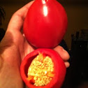 Pimiento morron 