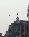 Temple Near Green Park Gurudwara
