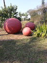 Red Balls at the Garden Cafe
