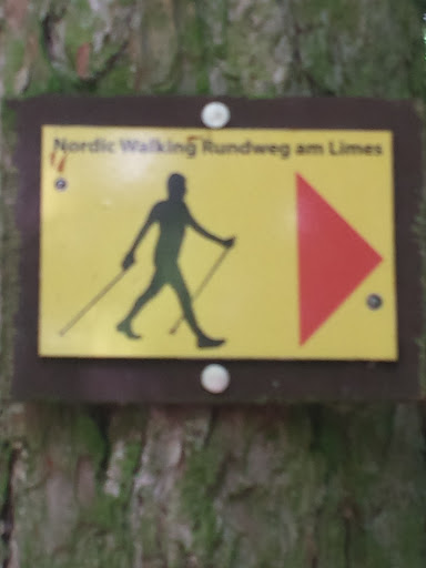Nordic-Walking Rundgang 