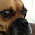 David64