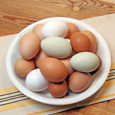 Fried Egg