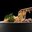 Noodle Stick by Ismed  Hasibuan  - Food & Drink Plated Food ( bowl, plated, stick, food, noodle )