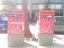 Twin Canadiana Postboxes