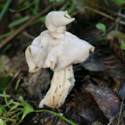 Elfin saddle