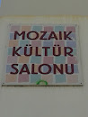 Mozaik Kültür