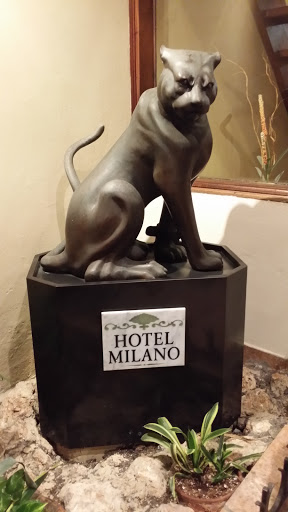 Tiger Milano