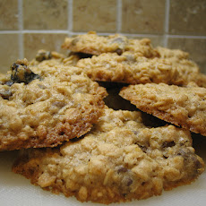 Honey Whole Wheat Oatmeal Cookies