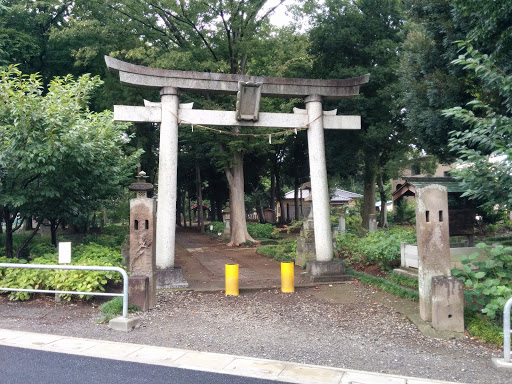 氷川神社 鳥居 Hikawa Shrine Torii