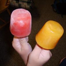 Frozen Fruit Nectar Popsicles