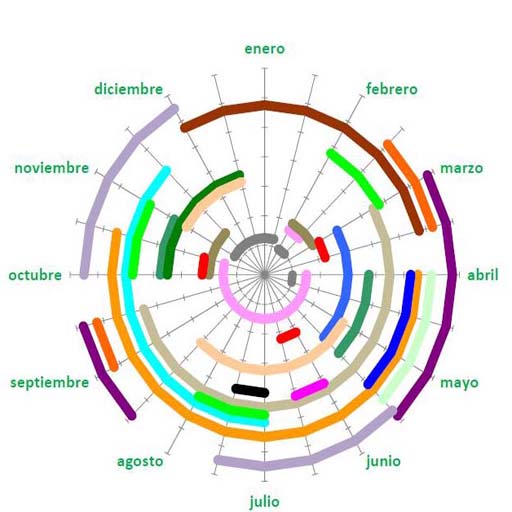 Bonsai Data Base en català LOGO-APP點子