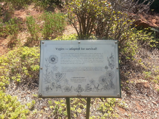 National Botanical Gardens Vygies Information Board 