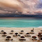 IMG_6336r1.jpg