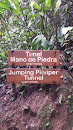 Jumping Pitviper Tunnel - Arenal Hanging Bridges