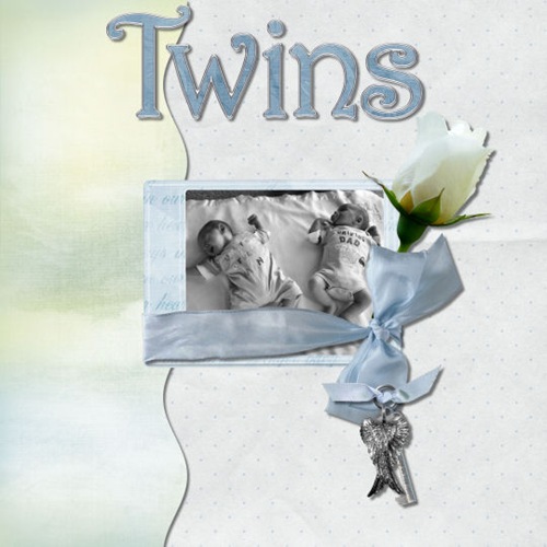 [Twins[3].jpg]