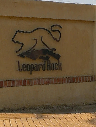 Leopard Rock Wall Art