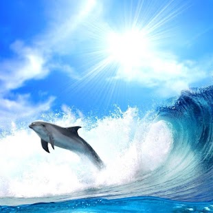How to mod Wonderful Dolphins Water Touch lastet apk for bluestacks
