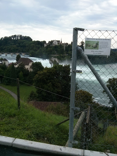 Ziegengehege  mit Blick auf den Rheinfall