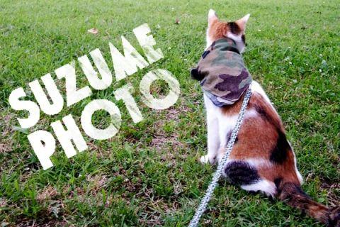 SUZUME PHOTO