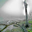 Long hot summer scorches local pond by Raymond Earl Eckert - Landscapes Waterscapes