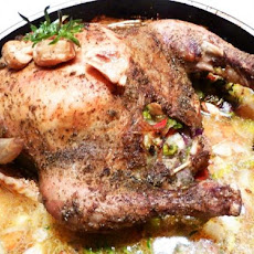 Chicken With 40 Cloves of Garlic and Creamy Thyme Sauce