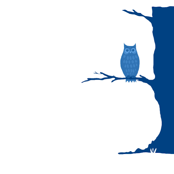 12. What did the owl see in the night? » drawings » SketchPort