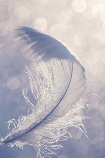 How to install Feather Wallpaper patch 1.0 apk for laptop
