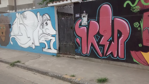 Grafite Leão