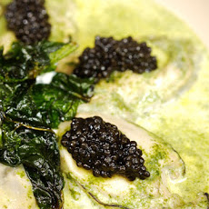 Poached Oysters in Pernod Cream