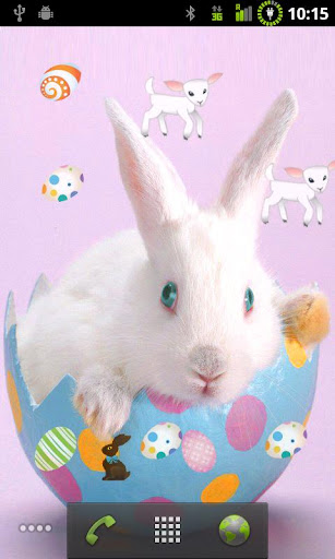Easter bunny live wallpaper