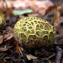 Earth Ball