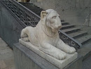 Lion's Statue 