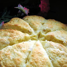Orange Yogurt Scones