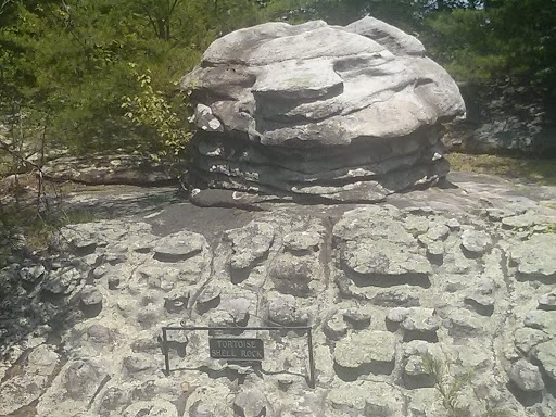 Tortoise  Shell Rock