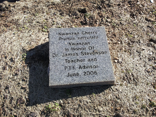 Dr. James Stevenson Memorial