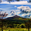 Wicklow Mountain