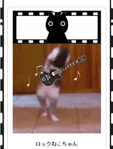 ねこネコ動く画像～かわいい癒しの猫ちゃんミニムービーまとめ～のおすすめ画像4
