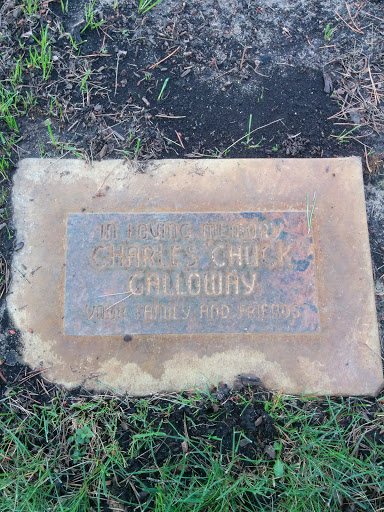 Charles Check Calloway Memorial Tree