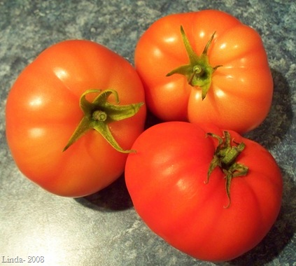 [My First Tomatoes[14].jpg]
