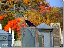 Yantic Crow