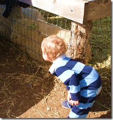 Wheeler Farms 017