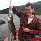 Rock cod
