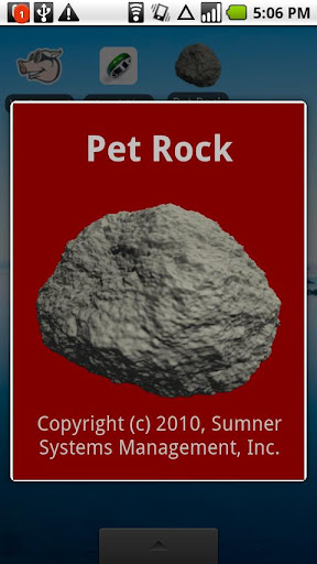 Pet Rock