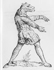 Cinocéfalo