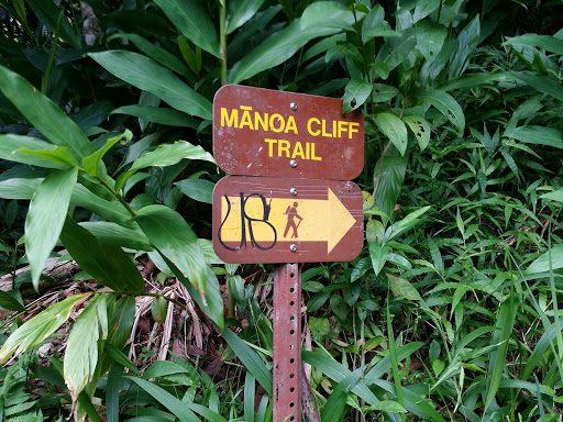 Manoa Cliff Trail