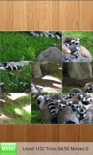 Lemurs Jigsaw Puzzles