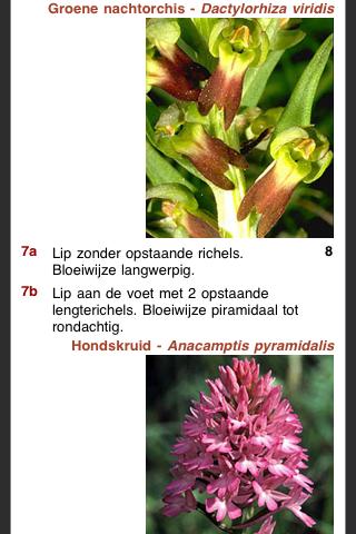 【免費書籍App】Orchideeën van Nederland-APP點子