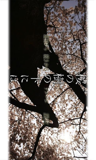 桜の樹の下には