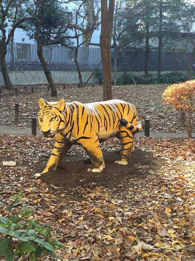 戸山公園の虎