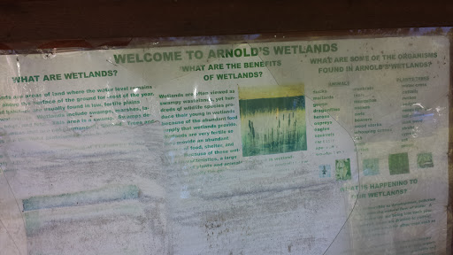 Welcome to Arnold wetlands